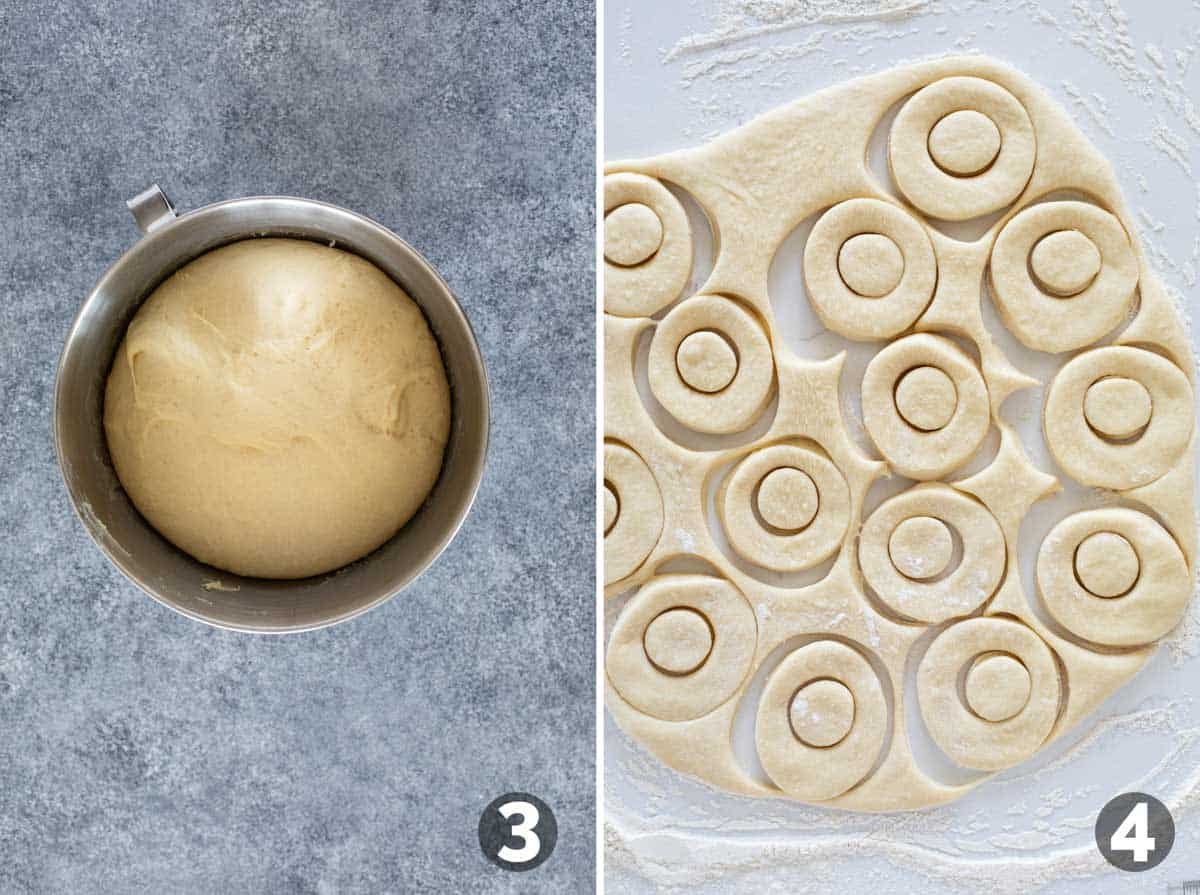 Raised donut dough, and cutting donut shapes from dough.
