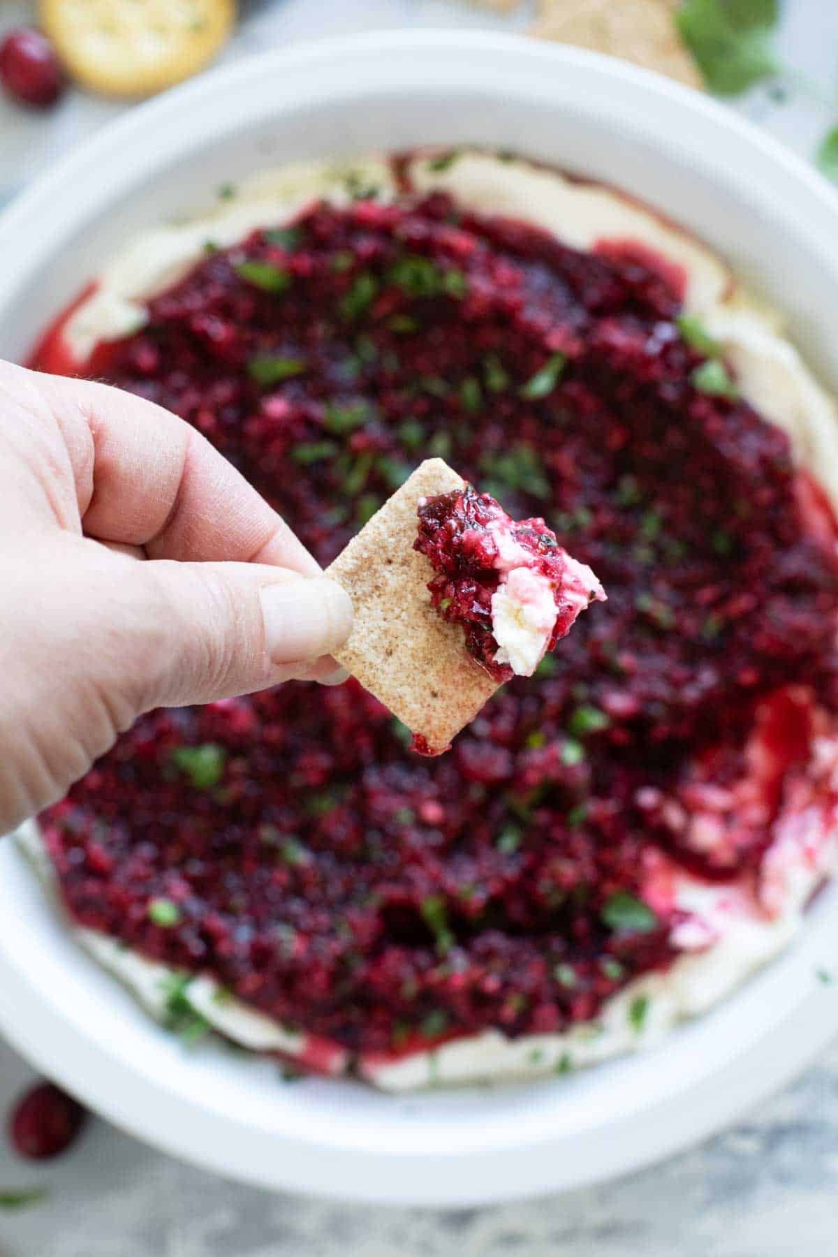 Cranberry Cream Cheese Dip on a wheat thin cracker.