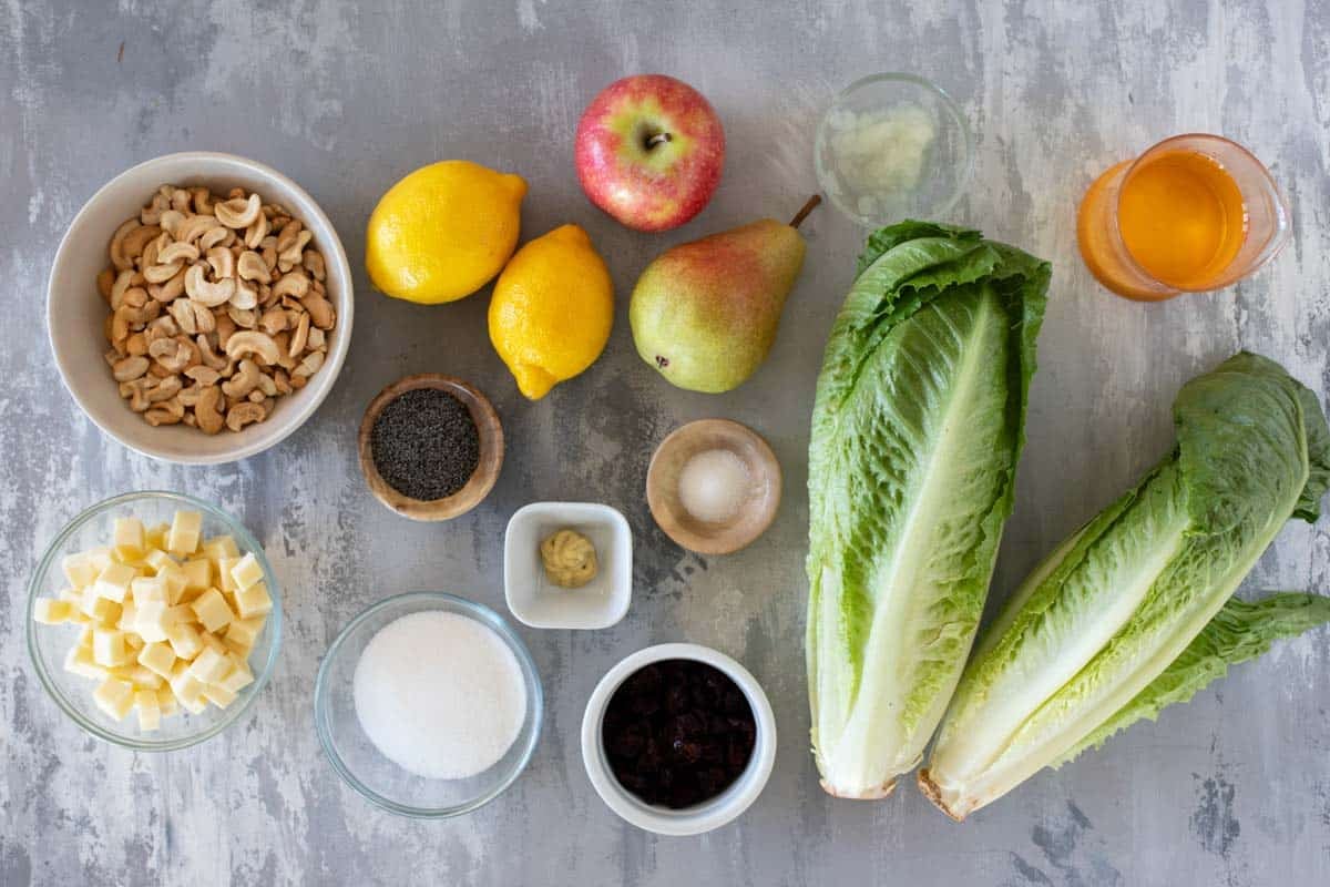 Ingredients for Winter Salad with Lemon Poppy Seed Dressing.