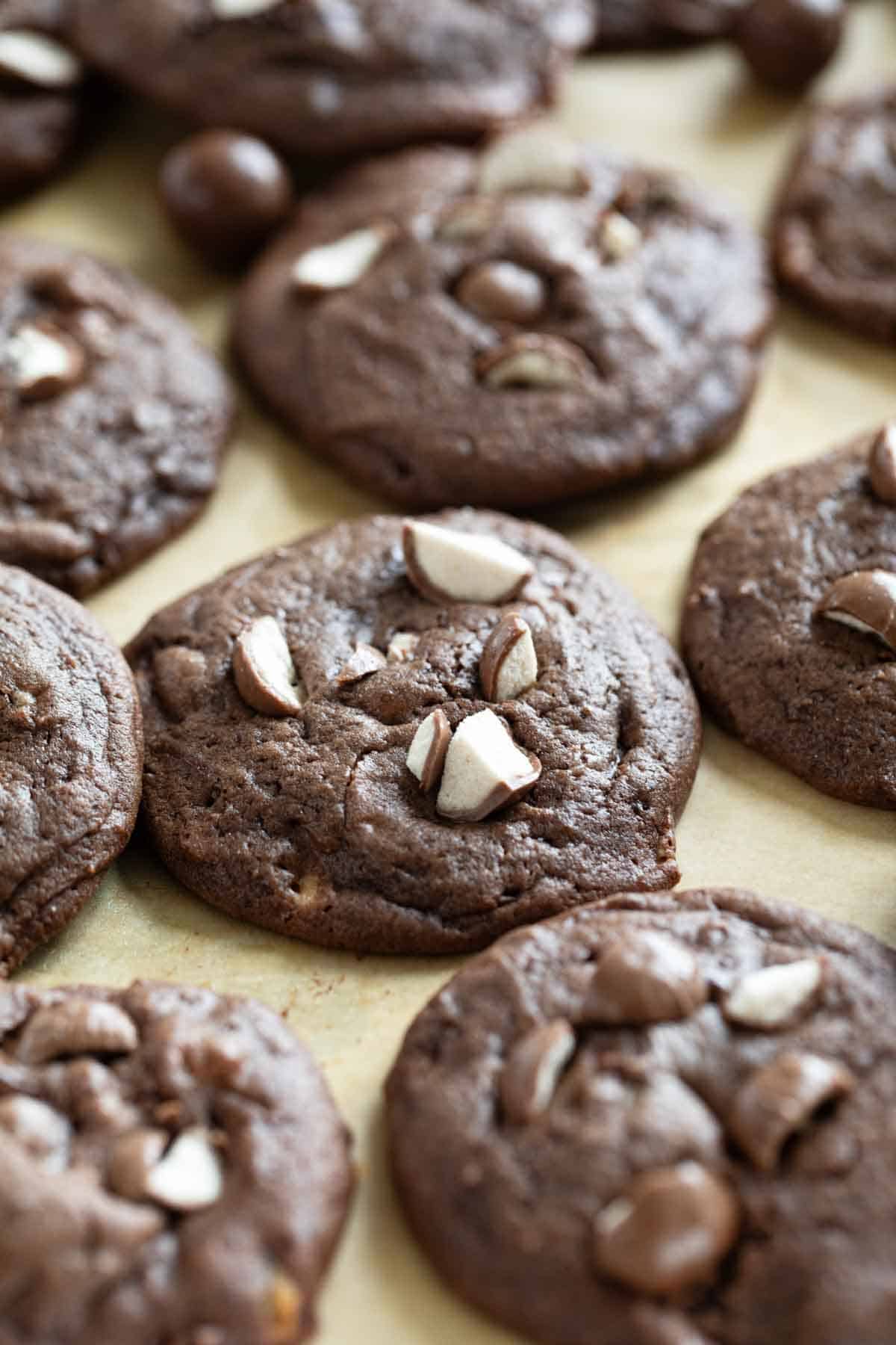 Chocolate Malted Milk Cookies topped with crushed Whoppers candy.