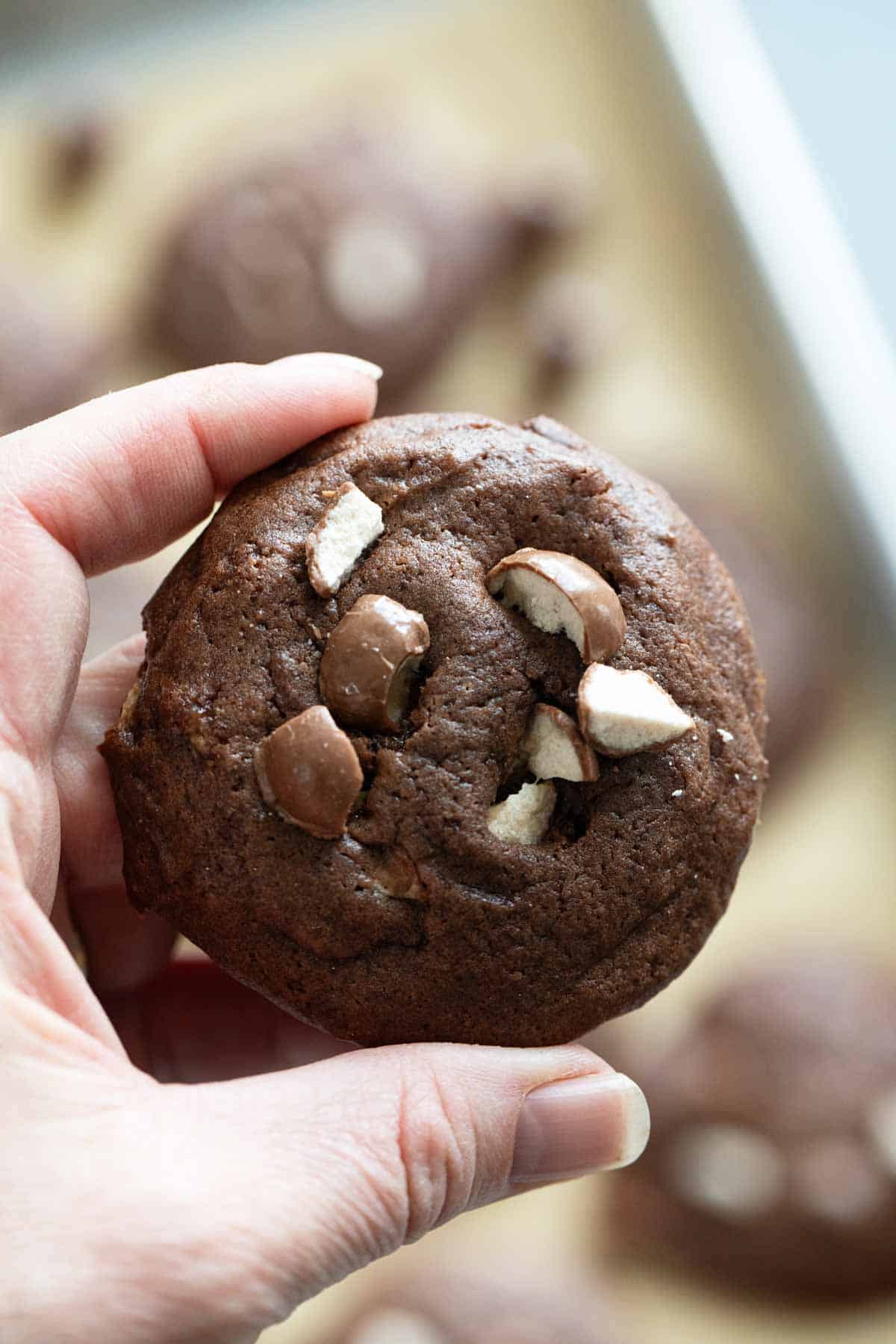 Hand holding a Chocolate Malted Milk Cookie.