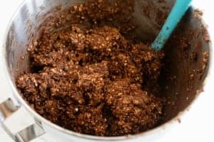 Double Chocolate Oatmeal Cookie dough in a mixer bowl.