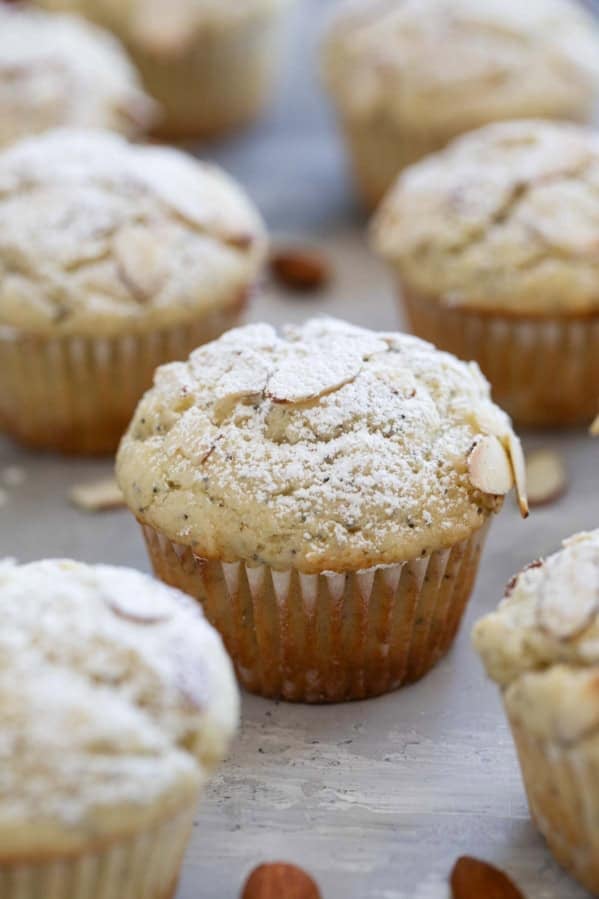 Almond Poppy Seed Muffins topped with sliced almonds and powdered sugar.