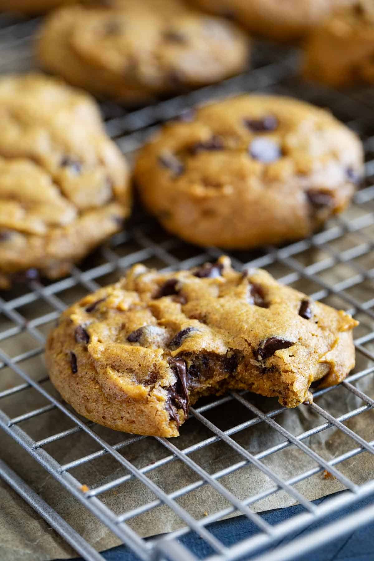 Pumpkin chocolate chip cookies on a cooling rack, with a bite taken from one.